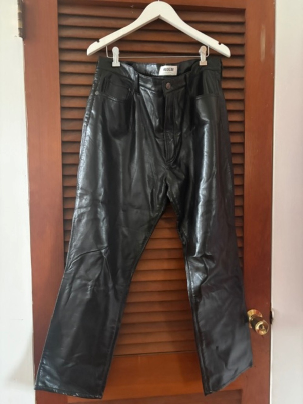 Agolde Recycled Leather Pants